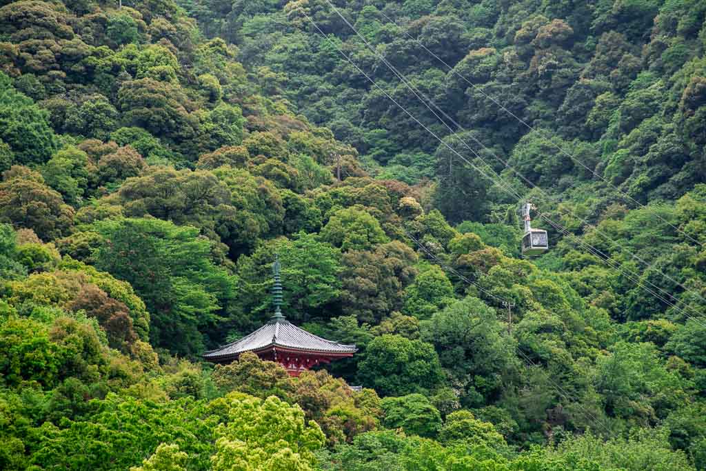 Things worth doing in Gifu City, Japan
